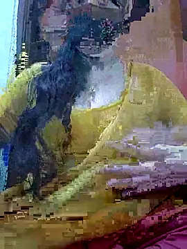 Anjel Sadia online show from February 27, 2026, 1:28 am