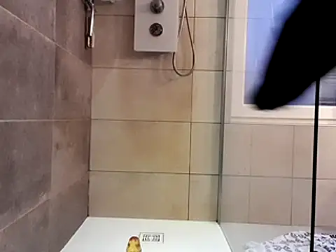 nfean2 online show from November 30, 2025, 3:57 pm