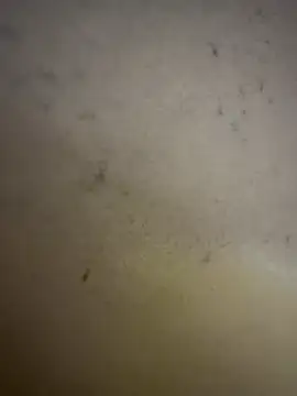 Snapshot of Gladiator_3 chatting on February 14, 2026, 11:10 am Gladiator 3 online show from February 14, 2026, 11:10 am