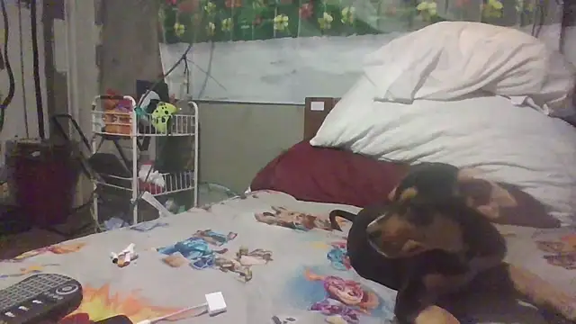 jaxx12369 online show from March 28, 2026, 5:41 am