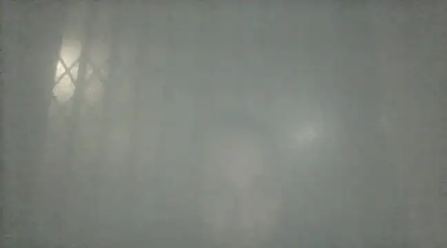 Snapshot of margiale84 chatting on December 17, 2024, 9:16 pm margiale84 online show from December 17, 2024, 9:16 pm