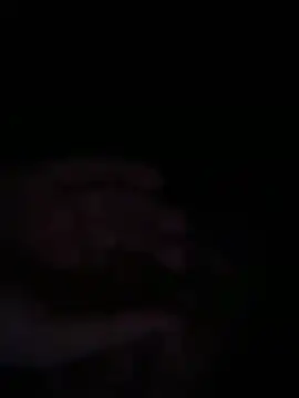 bob petterson online show from December 23, 2025, 6:12 am