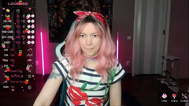 Project hisoka online show from January 10, 2026, 4:13 pm