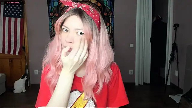 Project hisoka online show from April 21, 2026, 4:41 am