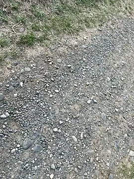 Snapshot of Reinacatchile chatting on February 4, 2025, 10:45 pm Reinacatchile online show from February 4, 2025, 10:45 pm