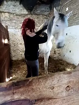 Tortuga95PL online show from February 12, 2026, 10:59 am