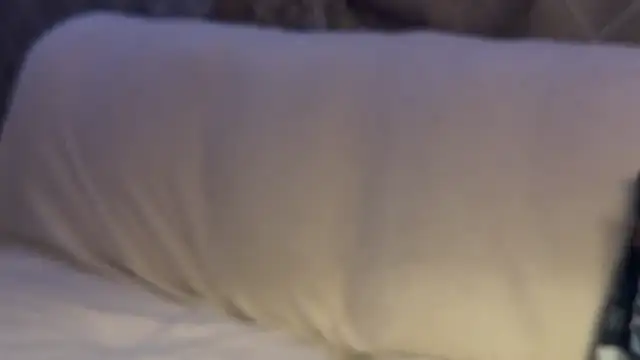 max o max42 online show from March 1, 2025, 12:39 am