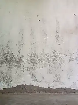 Yasha 14C Creator online show from October 13, 2025, 4:03 am