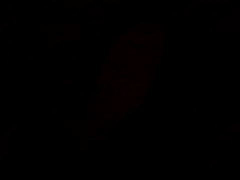 pnp0Japan online show from February 18, 2025, 4:47 pm