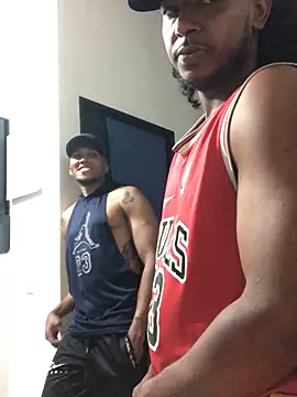 gavi 19cm online show from November 17, 2025, 10:58 pm