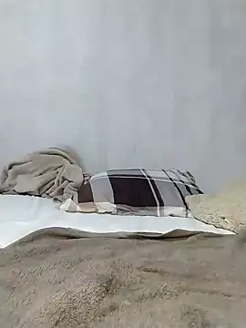 Snapshot of Stallion100 chatting on February 6, 2026, 10:17 pm Stallion100 online show from February 6, 2026, 10:17 pm