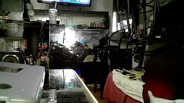 0815lukas2024 online show from November 3, 2025, 5:05 pm