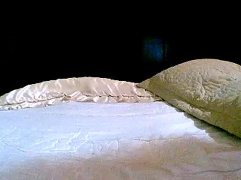 pollarikaaa online show from December 14, 2024, 1:49 am