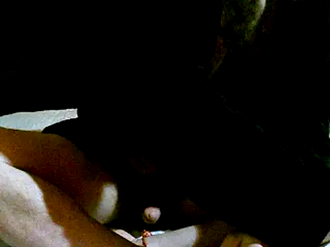 pollarikaaa online show from January 3, 2025, 3:16 am