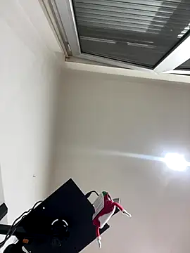 Snapshot of Kamaleonix chatting on December 16, 2025, 10:25 pm Kamaleonix online show from December 16, 2025, 10:25 pm