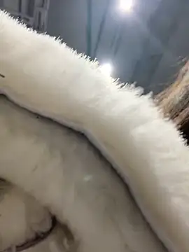 Snapshot of MooonReal chatting on January 30, 2025, 6:35 am MooonReal online show from January 30, 2025, 6:35 am