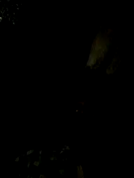 Snapshot of Tamil_boy_age28 chatting on February 15, 2025, 5:17 pm Tamil boy age28 online show from February 15, 2025, 5:17 pm