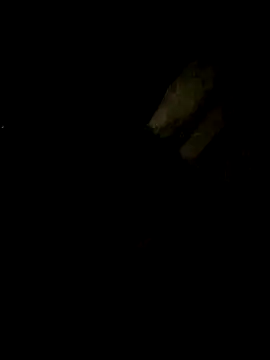 Snapshot of Tamil_boy_age28 chatting on February 22, 2025, 5:24 pm Tamil boy age28 online show from February 22, 2025, 5:24 pm