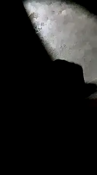 Snapshot of Tamil_boy_age28 chatting on March 1, 2025, 3:16 pm Tamil boy age28 online show from March 1, 2025, 3:16 pm