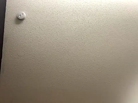 Snapshot of Bigbootylavishh chatting on December 17, 2025, 4:34 pm Bigbootylavishh online show from December 17, 2025, 4:34 pm