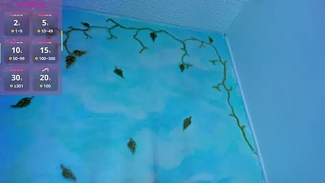 SaturnooStonee online show from March 8, 2026, 2:04 am