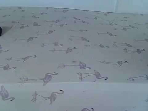 laetitia  online show from March 2, 2026, 1:17 am