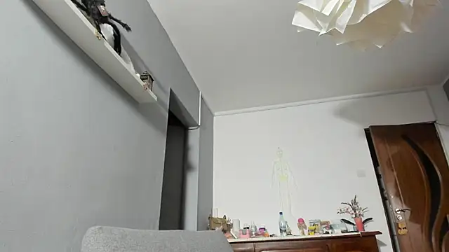 Snapshot of SexxyMeriem chatting on November 17, 2025, 3:49 pm SexxyMeriem online show from November 17, 2025, 3:49 pm