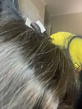 velvetta  online show from November 25, 2025, 4:18 pm