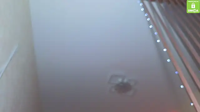 Snapshot of Katy_perry_ chatting on November 27, 2025, 3:51 am Katy perry online show from November 27, 2025, 3:51 am