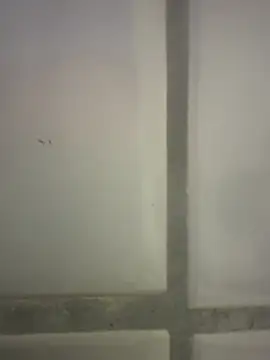 Snapshot of orient_zob chatting on February 25, 2026, 4:18 pm orient zob online show from February 25, 2026, 4:18 pm