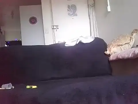 Snapshot of QueenMilf36 chatting on December 27, 2024, 5:31 am QueenMilf36 online show from December 27, 2024, 5:31 am