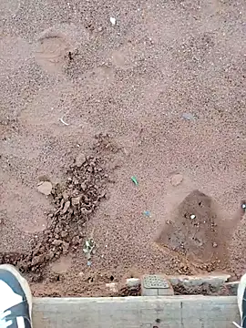 TornadoStorm35 online show from March 30, 2026, 1:56 pm