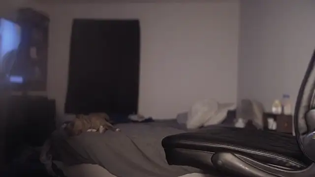 flexingplexico online show from March 1, 2025, 11:17 am