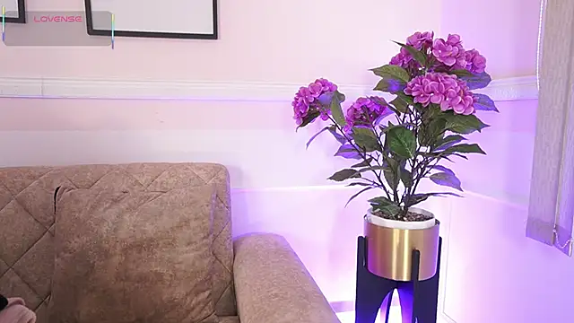 Anybuny online show from December 18, 2025, 12:09 pm