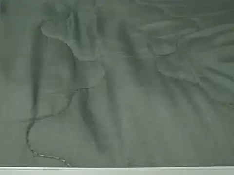 VenDee online show from November 7, 2025, 7:40 pm