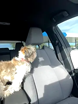 Snapshot of SafeinouterSpace chatting on November 26, 2025, 9:37 pm SafeinouterSpace online show from November 26, 2025, 9:37 pm