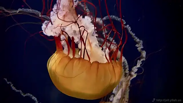 Snapshot of streamy_test12 chatting on February 12, 2026, 7:19 am streamy test12 online show from February 12, 2026, 7:19 am