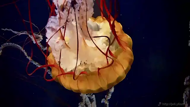 Snapshot of streamy_test15 chatting on September 22, 2025, 6:03 pm streamy test15 online show from September 22, 2025, 6:03 pm