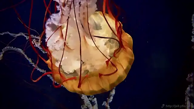 Snapshot of streamy_test15 chatting on December 15, 2025, 9:48 am streamy test15 online show from December 15, 2025, 9:48 am