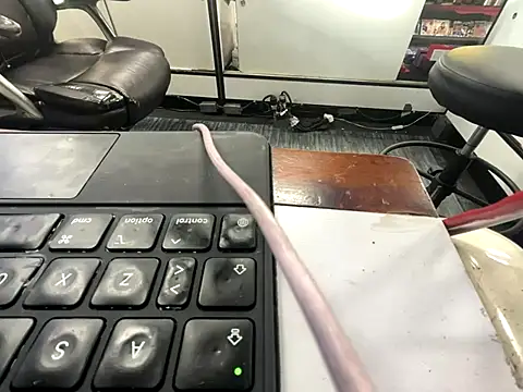 RawRyder8 online show from December 13, 2025, 10:16 pm