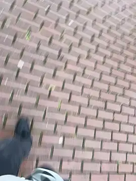 Snapshot of 0maxx00 chatting on December 19, 2024, 2:13 pm 0maxx00 online show from December 19, 2024, 2:13 pm