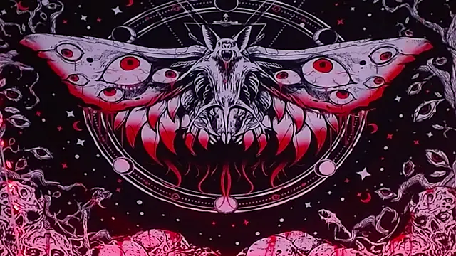 daiki sx online show from February 22, 2025, 3:45 am