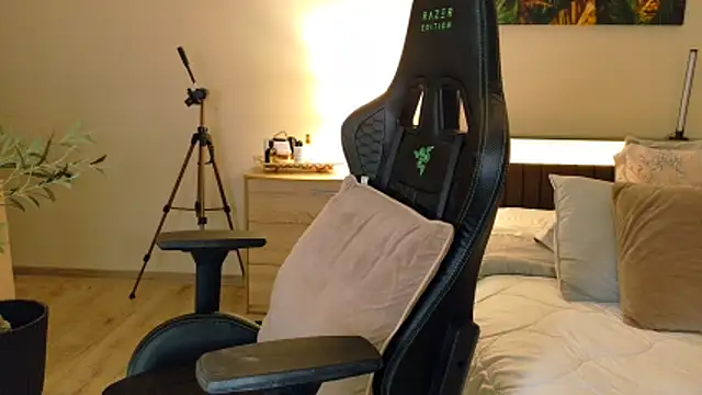 Snapshot of joycesilver chatting on January 7, 2026, 9:14 am joycesilver online show from January 7, 2026, 9:14 am