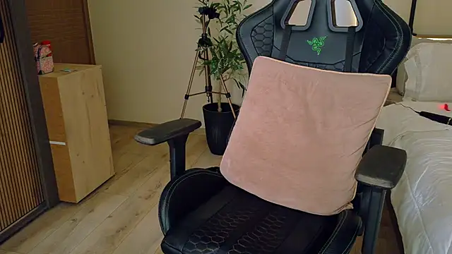 Snapshot of joycesilver chatting on February 14, 2026, 7:52 am joycesilver online show from February 14, 2026, 7:52 am