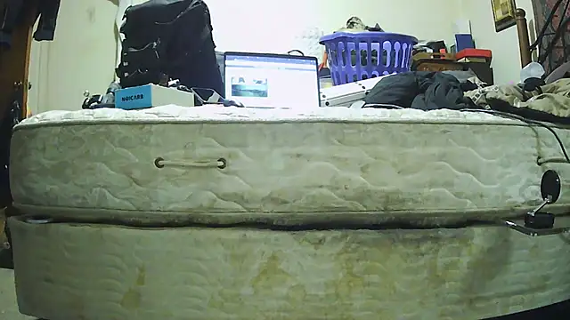 Snapshot of pipeload1275 chatting on November 30, 2025, 5:30 am pipeload1275 online show from November 30, 2025, 5:30 am