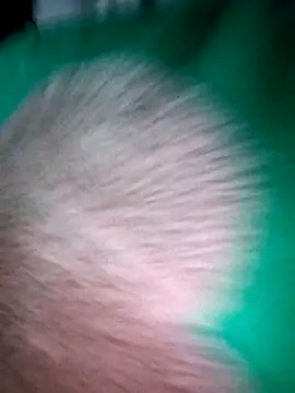 Snapshot of Haralushiaaa chatting on December 4, 2025, 11:59 pm Haralushiaaa online show from December 4, 2025, 11:59 pm