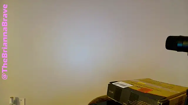 BriannaBrave online show from February 11, 2026, 7:36 pm