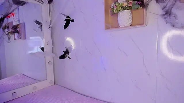 Snapshot of sabrinahimss chatting on October 29, 2025, 4:33 am sabrinahimss online show from October 29, 2025, 4:33 am