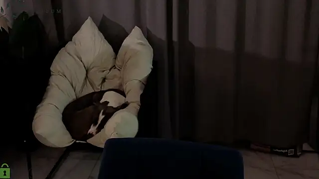 Snapshot of Eva_Natsumi chatting on January 14, 2026, 3:26 pm Eva Natsumi online show from January 14, 2026, 3:26 pm