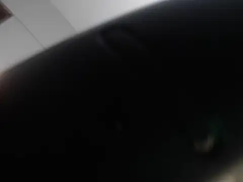 Snapshot of judy_the_booty chatting on March 6, 2025, 10:36 pm judy the booty online show from March 6, 2025, 10:36 pm